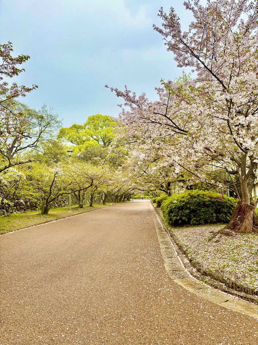 とりまる tweet media