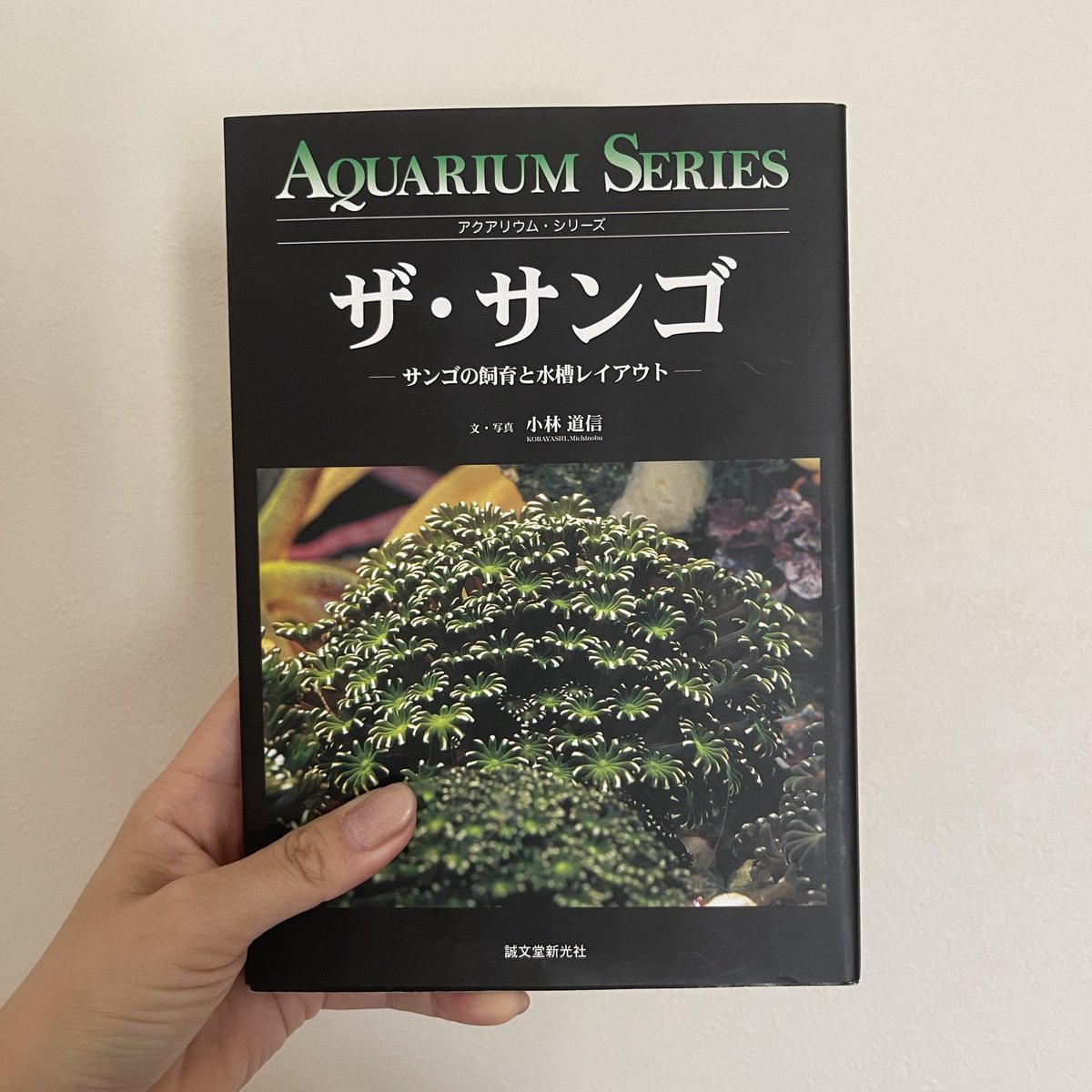 朝陽珊瑚堂｜サンゴ専門の本屋さん tweet media