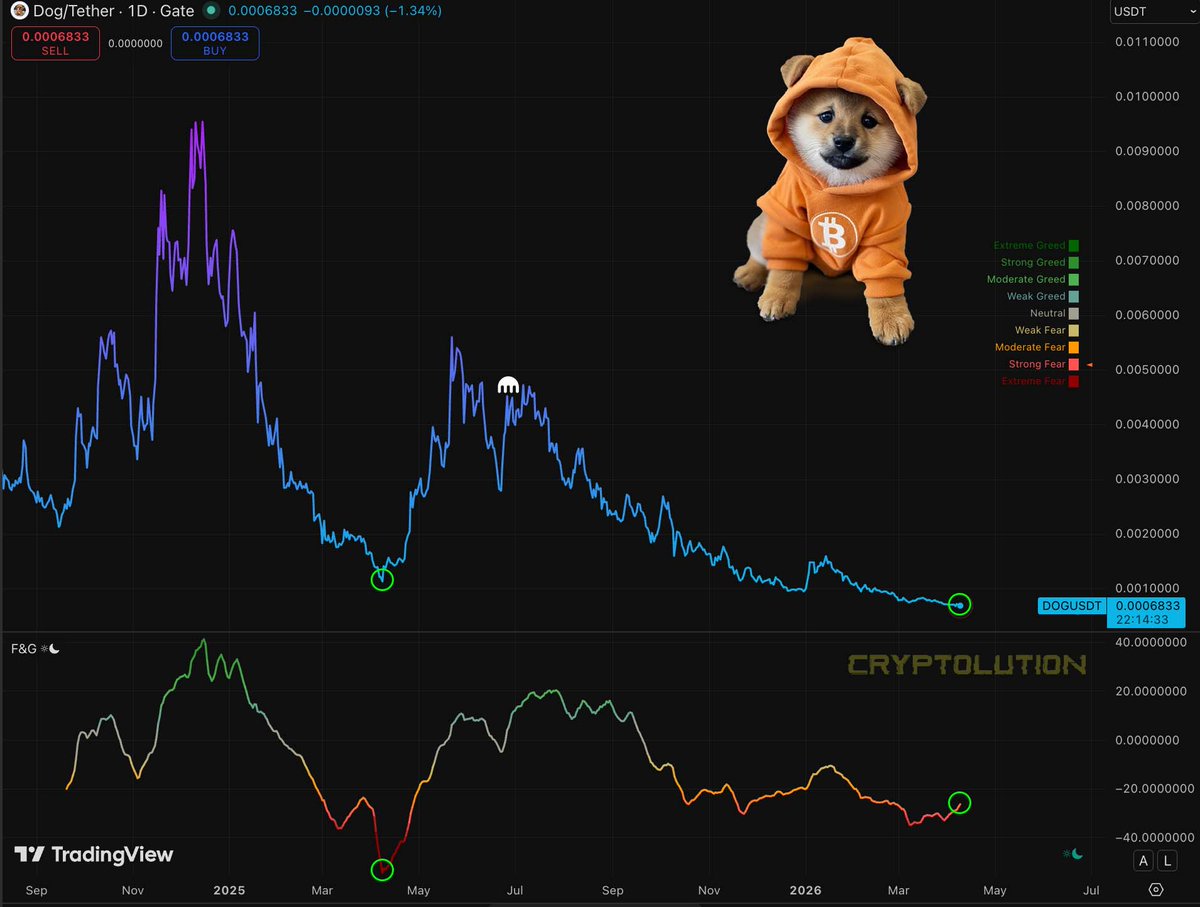 Vincent (Cryptolution) 👑 tweet media