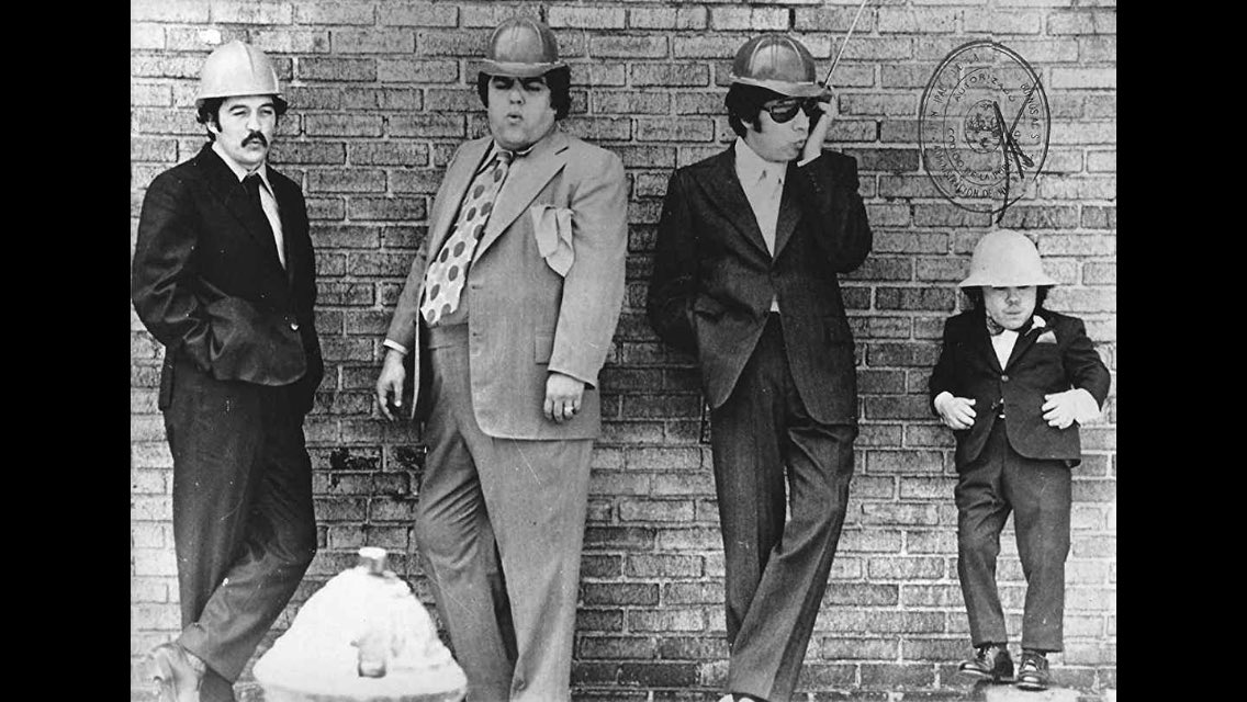 Dog Zebra Eel tweet media