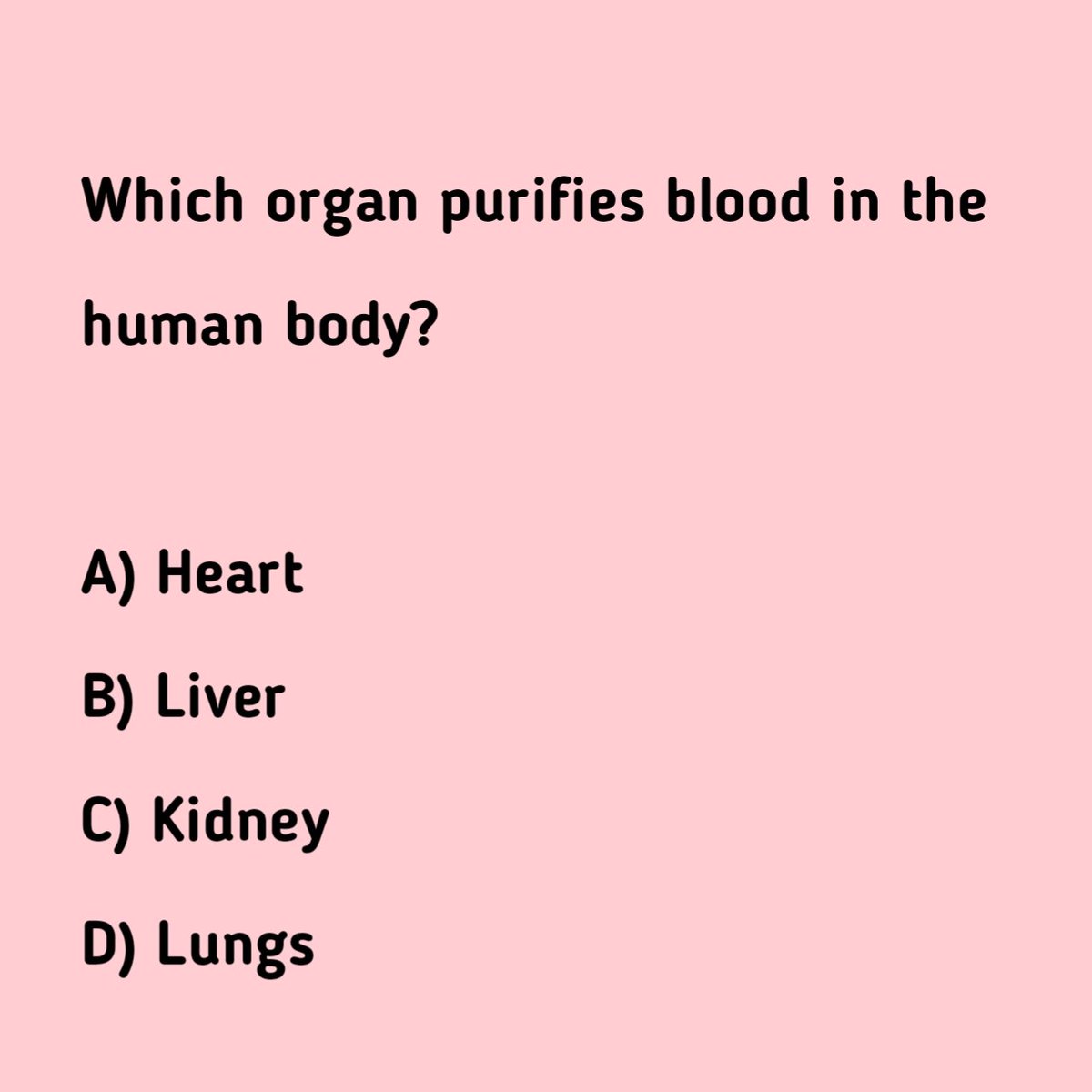 Professor tweet media