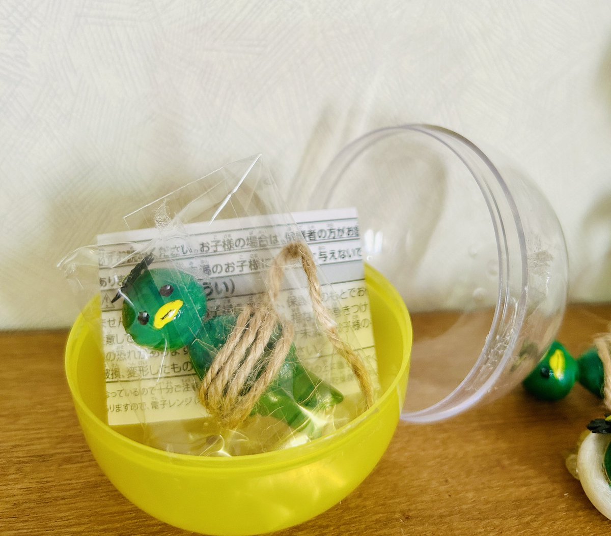 まっちゃ🍄 tweet media