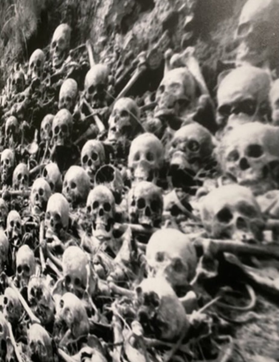 Mirai（入院中） tweet media