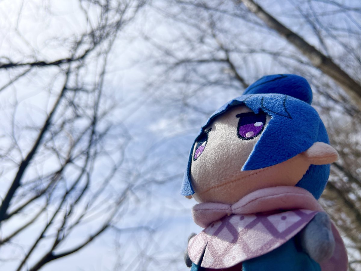 miyanobi＠ソロキャンプ活動中！🏕️ tweet media