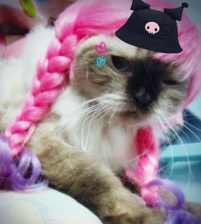 drew ⋆˚࿔ tweet media