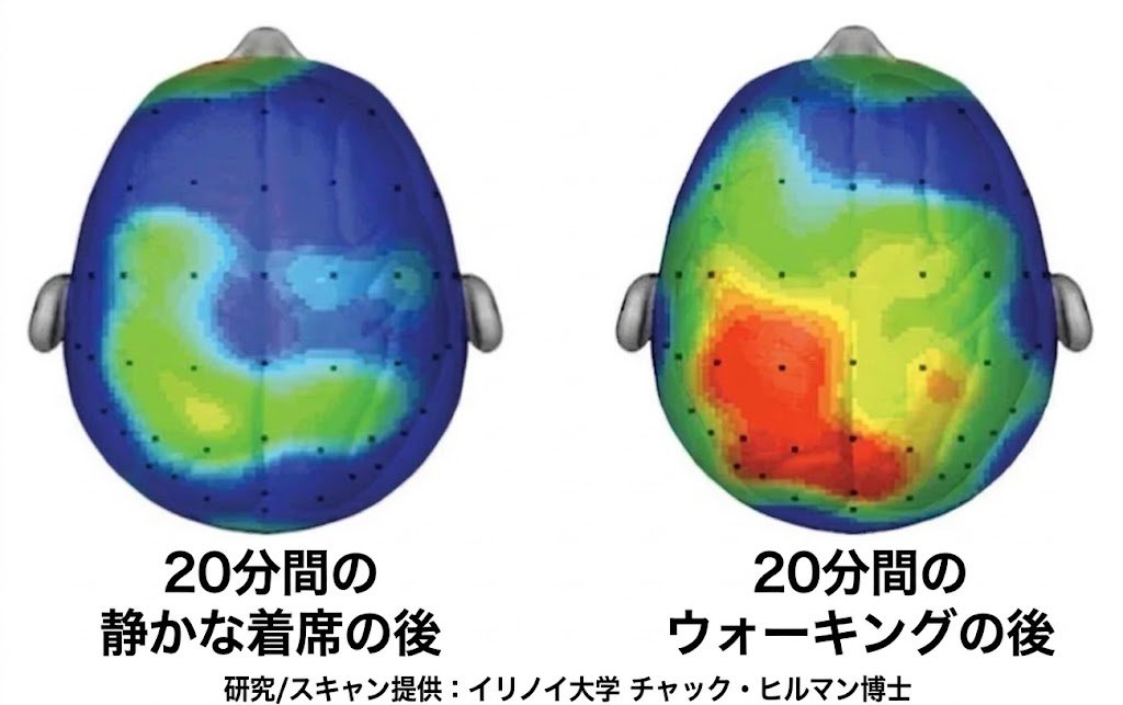 けい🍊🥬🍎無添加健康生活のすすめ tweet media