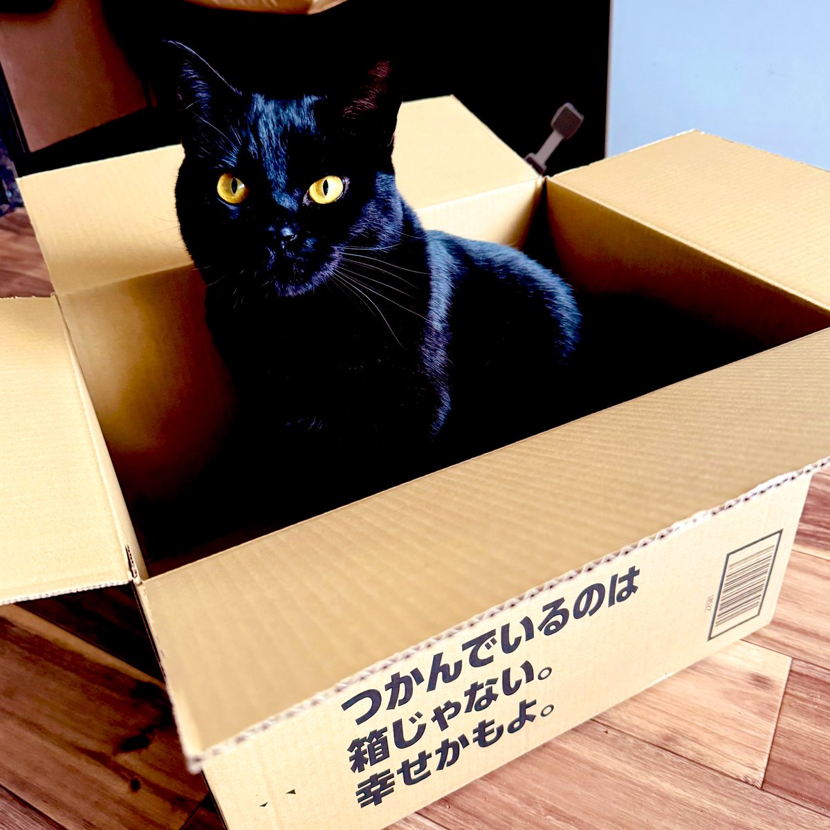 前髪をつかめ＼(^o^)／！