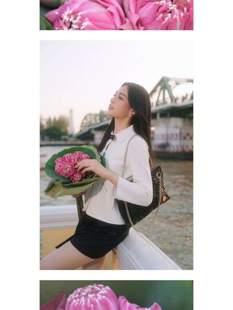 LingOrm_TagTrend 📈 tweet media