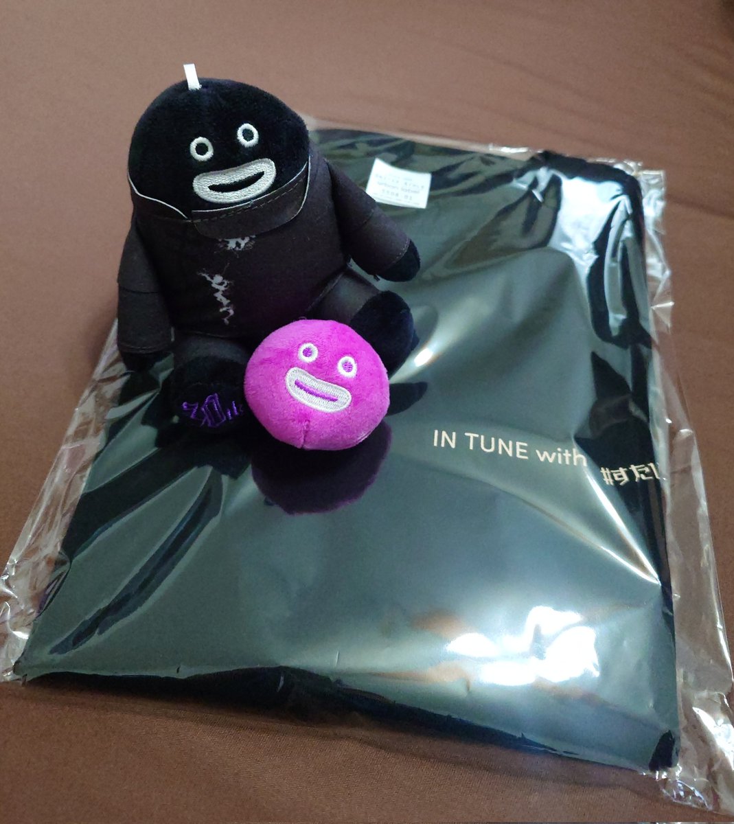 naka_mayo67244's tweet photo. さっき届いた〜😆💜✨️
来週はコレを着て魂を飛ばす(運んでもらう🤣)ぞッ😄👍
#すたひさ
#STUDIOHISASHI
#INTUNETシャツ https://t.co/2GDhFJcaV3