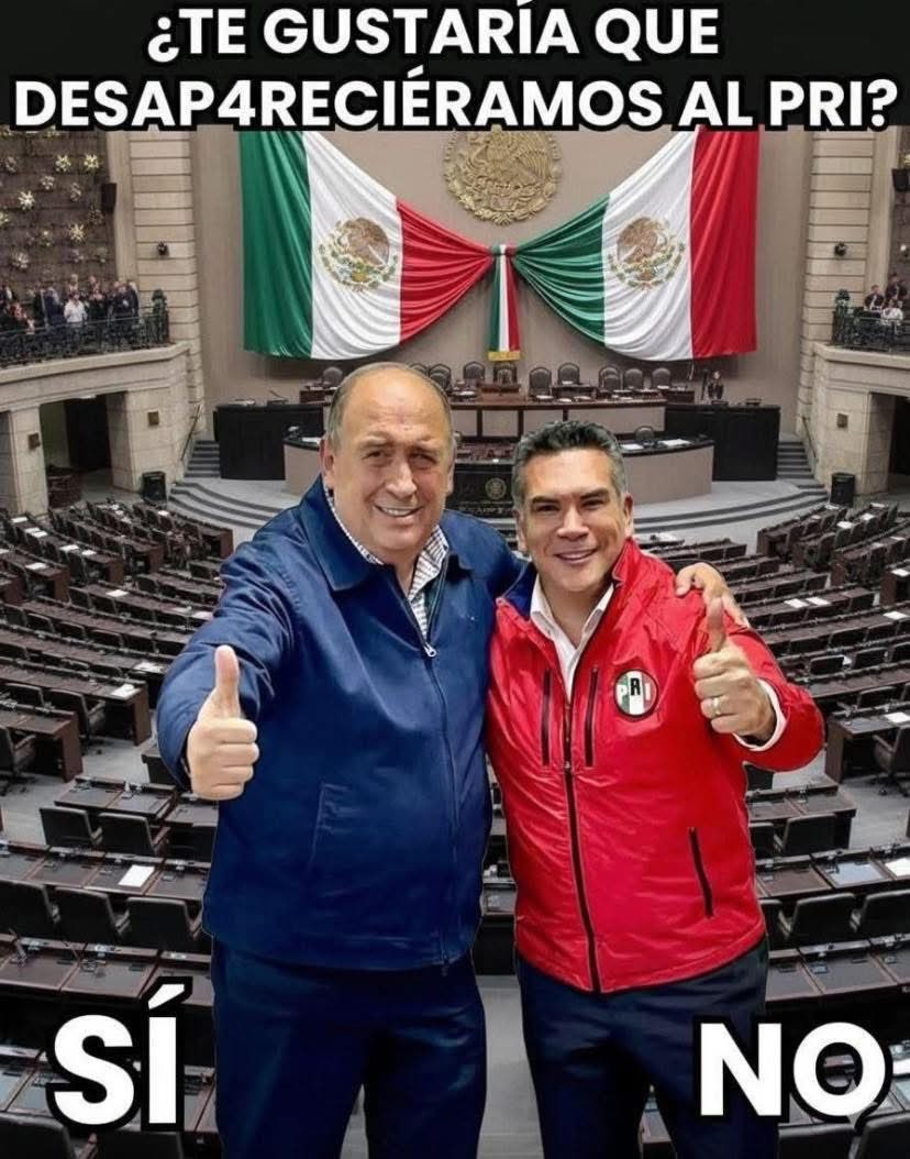 ✨Maca ✨ tweet media