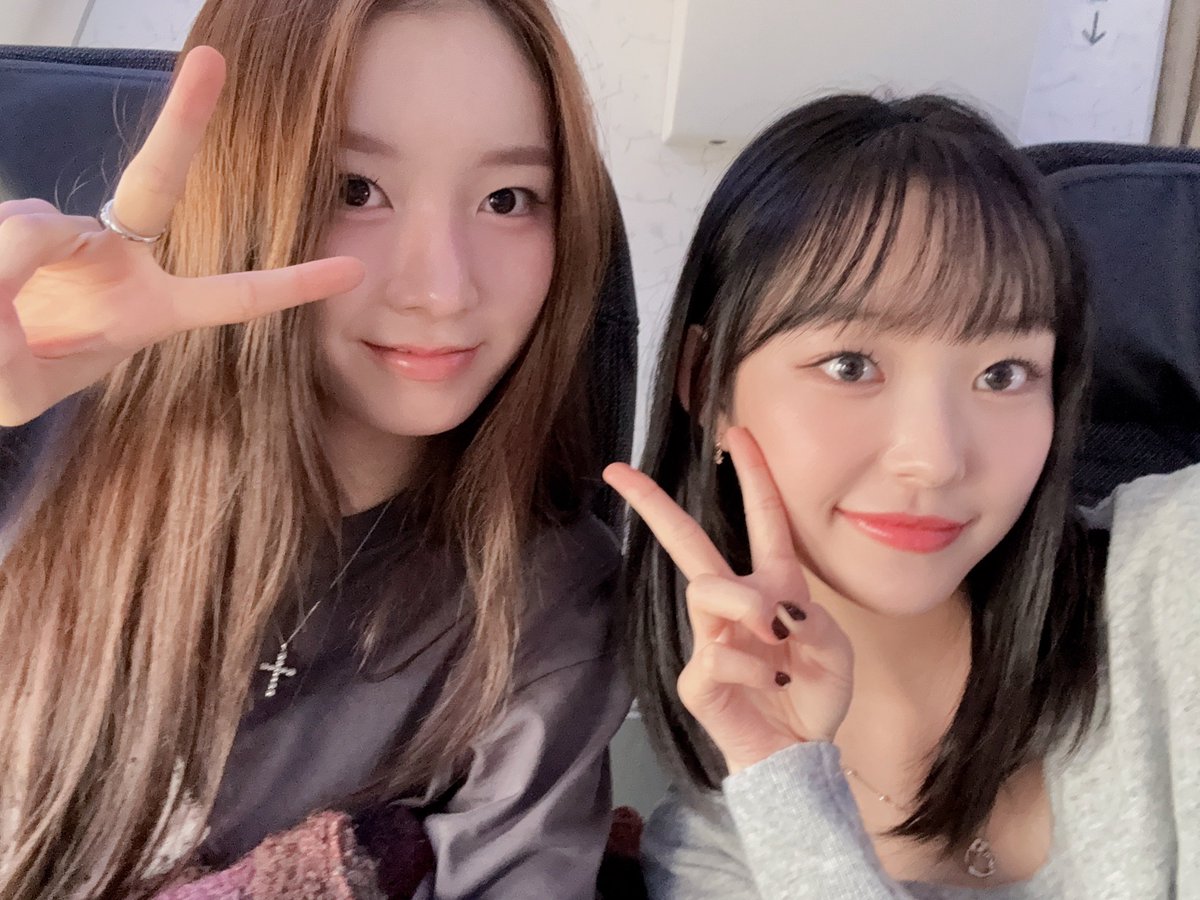 lightsum pics tweet media