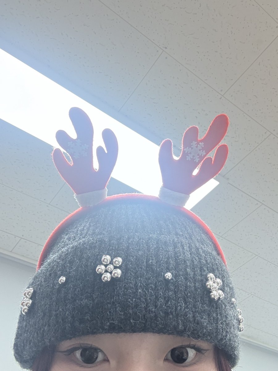 lightsum pics tweet media