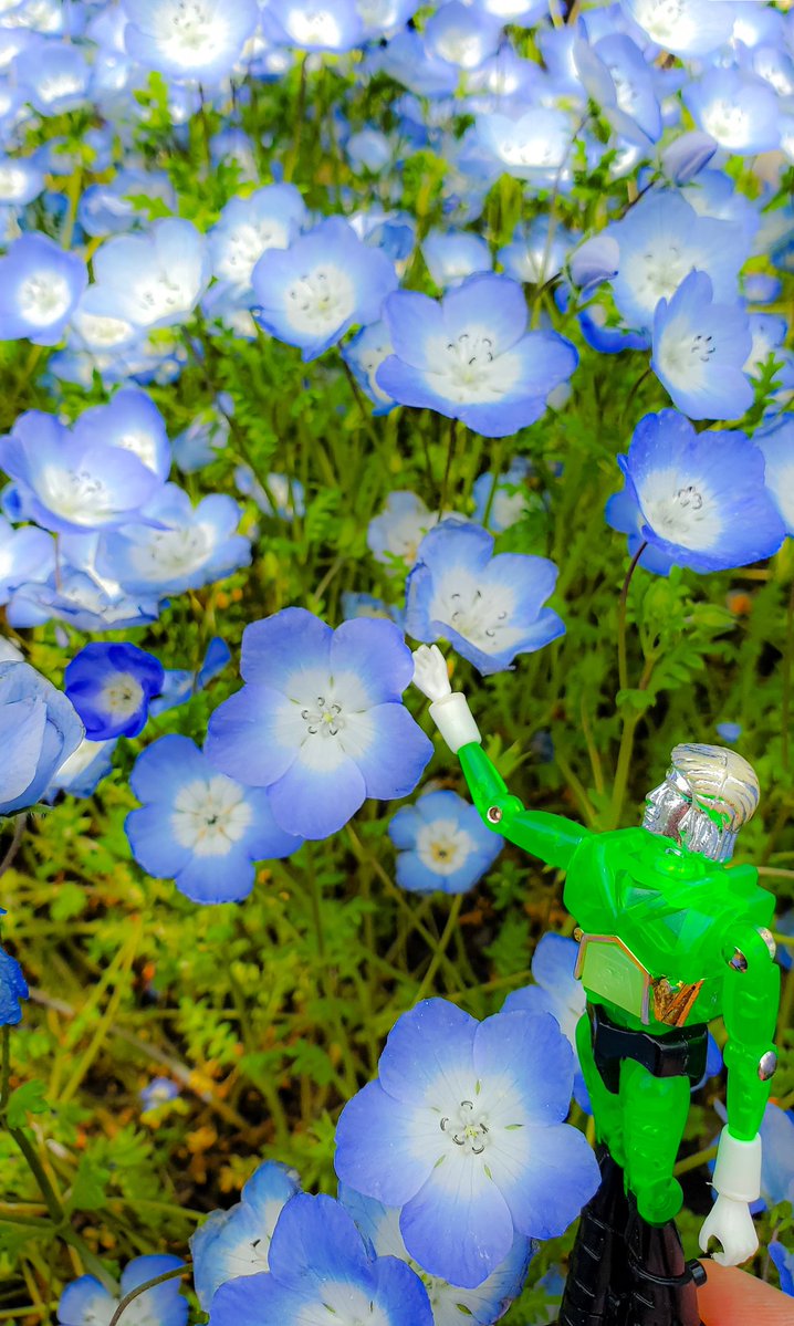 そら【空】 tweet media