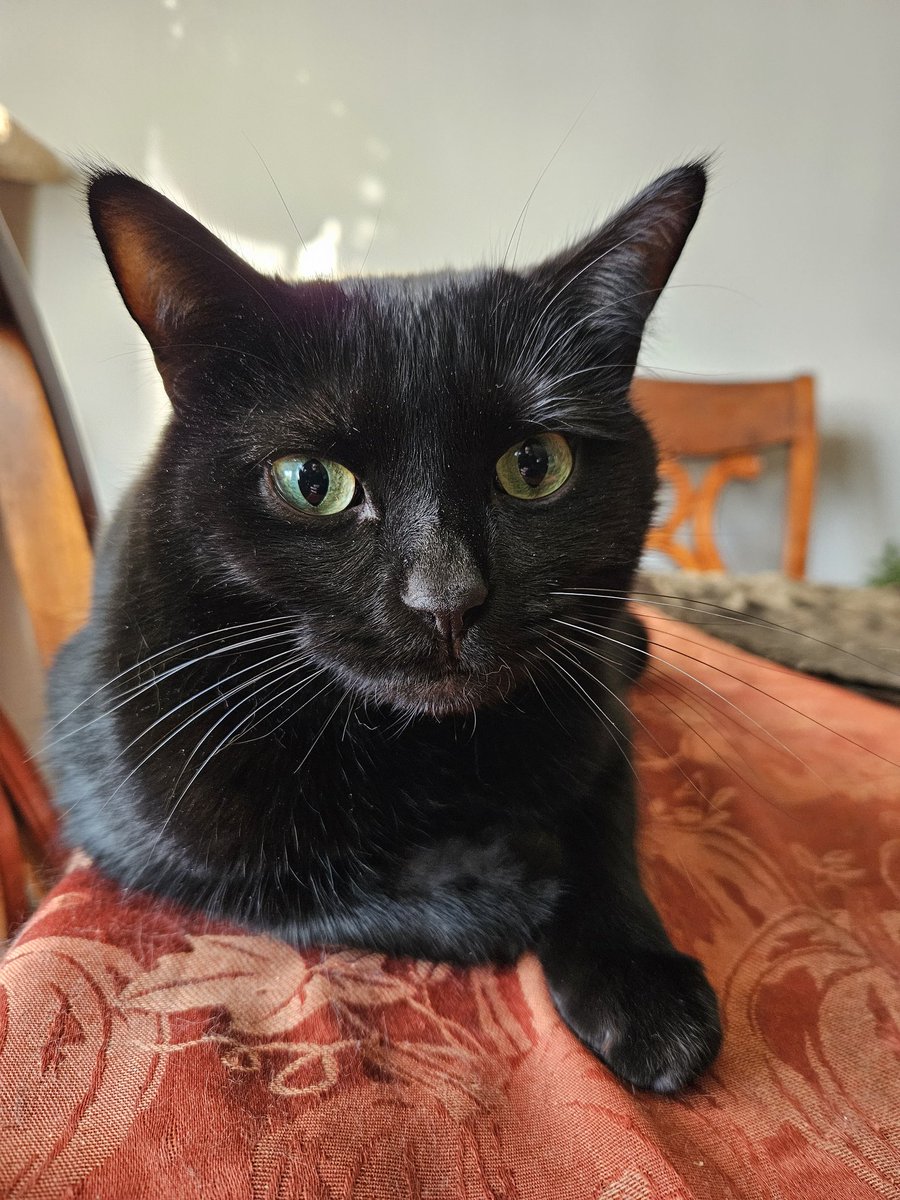 NovaStar616 tweet media