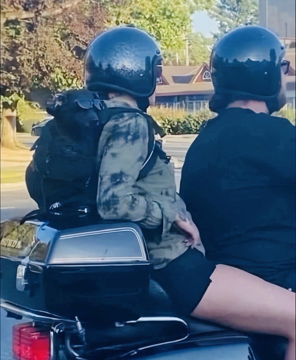 Juanita Broaddrick tweet media