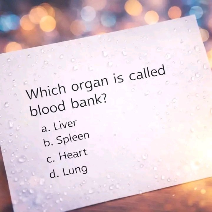 UPSC & PCS NOTES tweet media