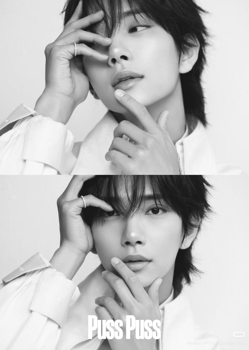 양양이 tweet media