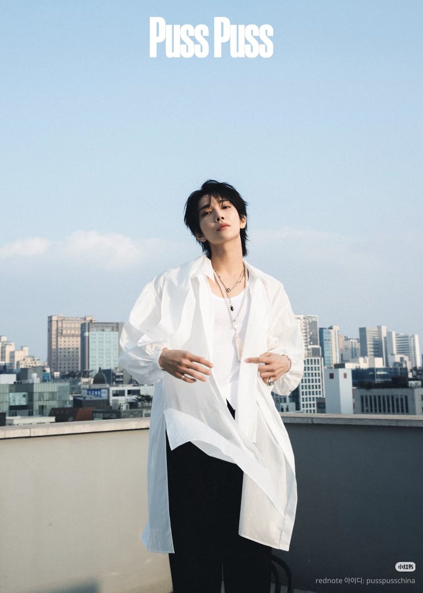 양양이 tweet media