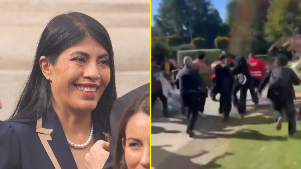 Javier Olivares A tweet media