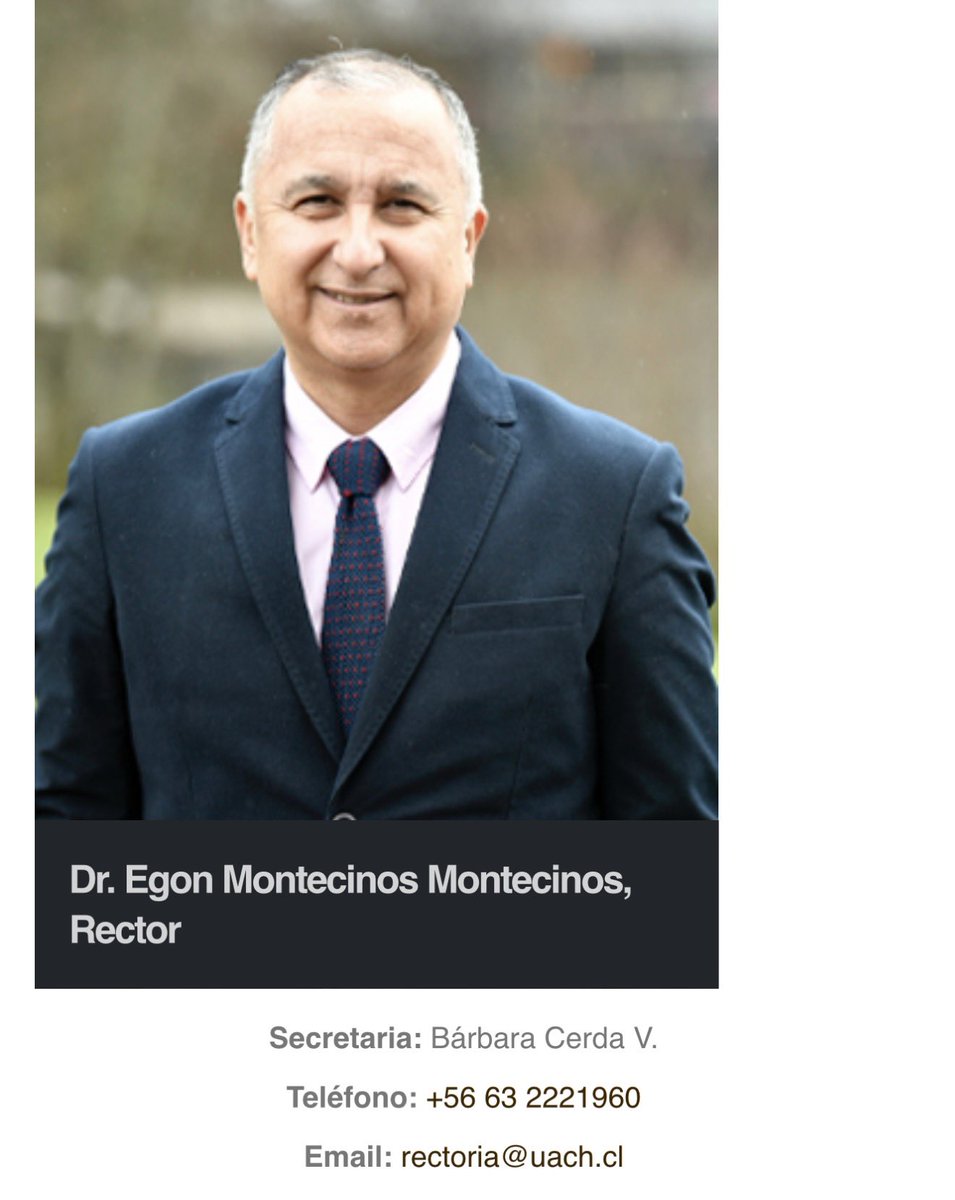 Javier Olivares A tweet media