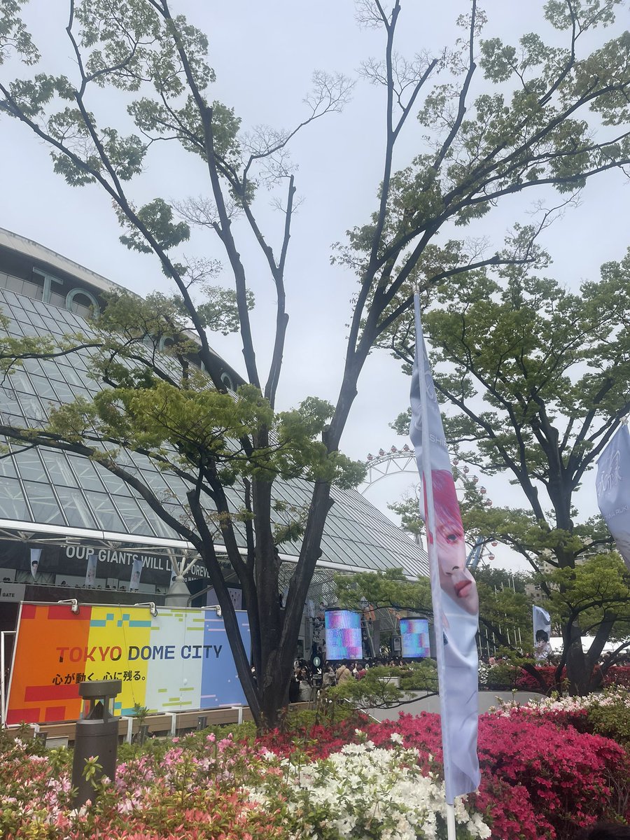 knn_k5_07's tweet photo. @oo__17woo 近いです
ここにいます https://t.co/uGMMDmqJnl