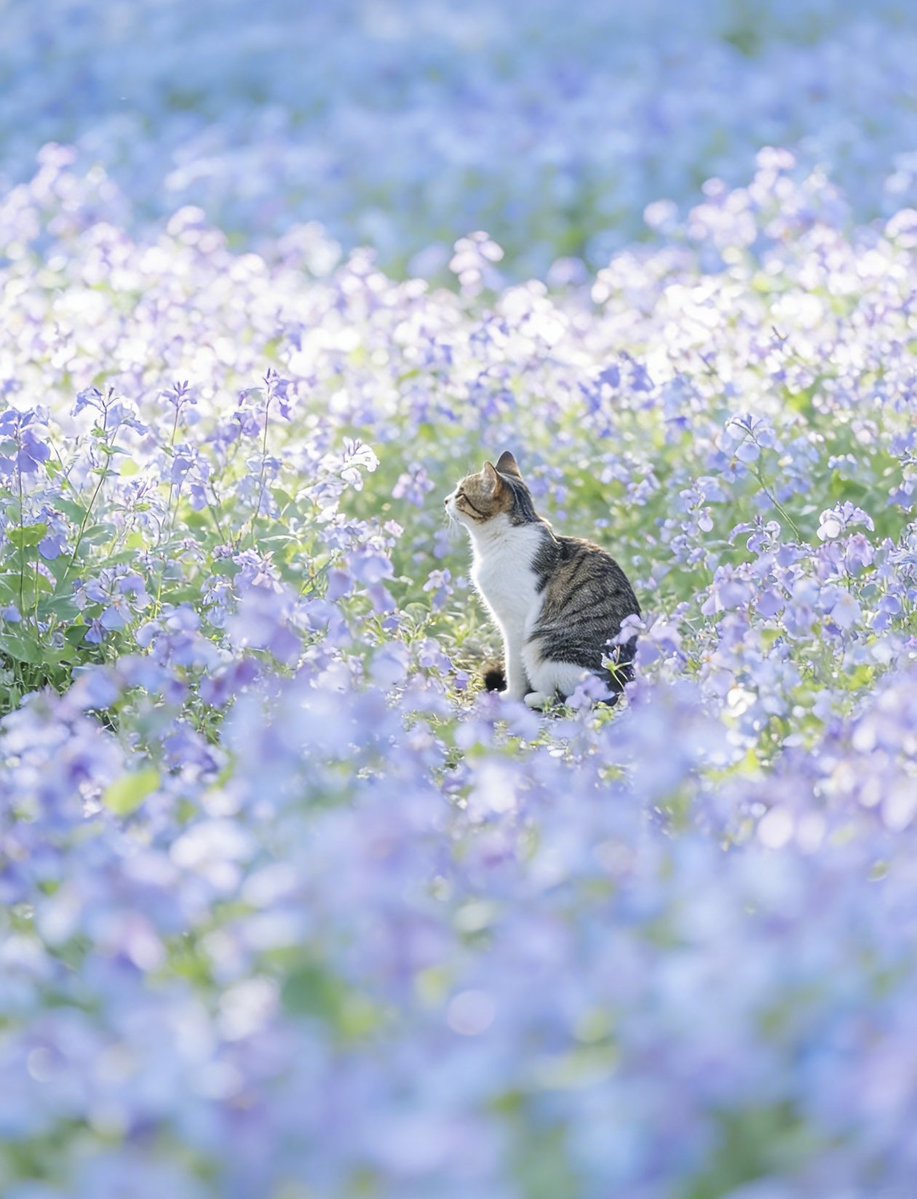 Kathleen tweet media