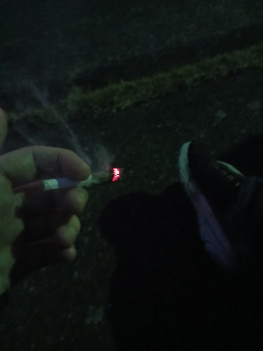 river of SHEDTWT tweet media