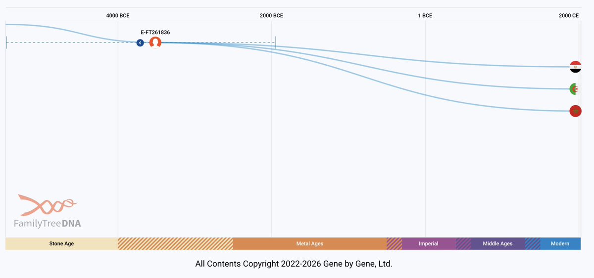 Y-DNA Sequencing in Egypt tweet media