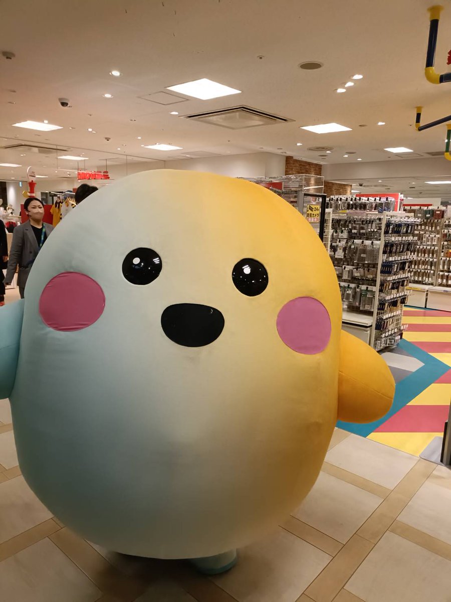 YH@副業勢50cc tweet media