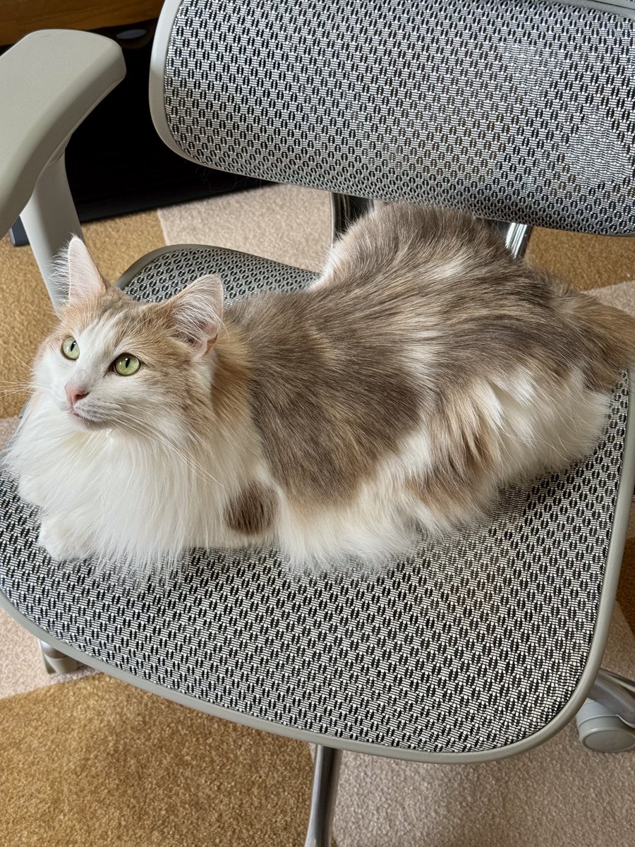 エドリー tweet media