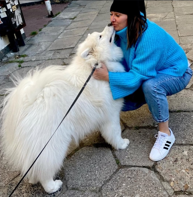 Wnuk Ułana tweet media