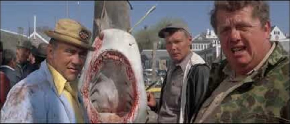 Bo Sanders tweet media