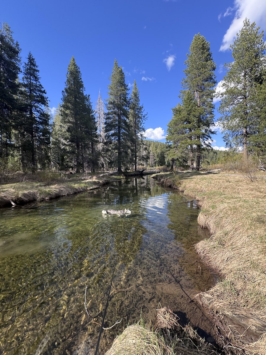 Great trading day &amp; super fun time = extra sashimi #sushiwednesday #Indy #huskies