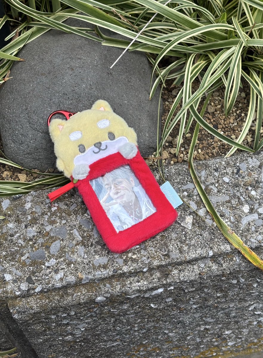 ﾏちゃ👶🏻 tweet media