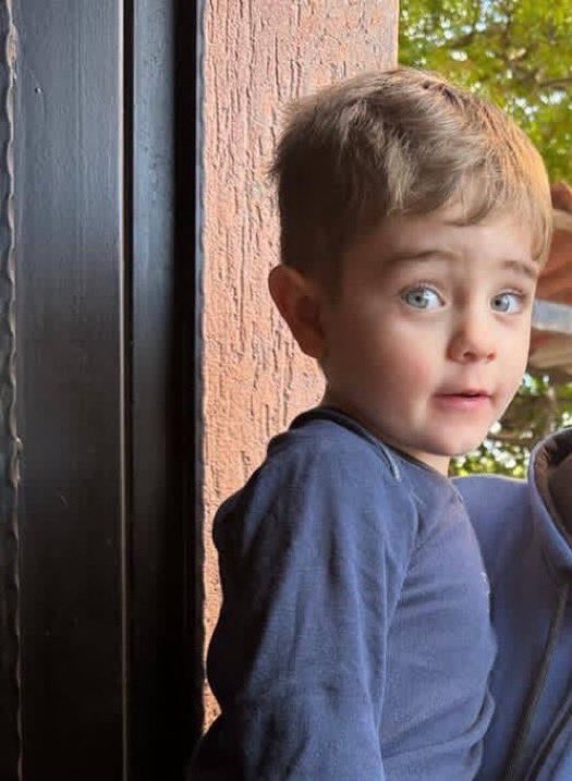 Drop Site tweet media