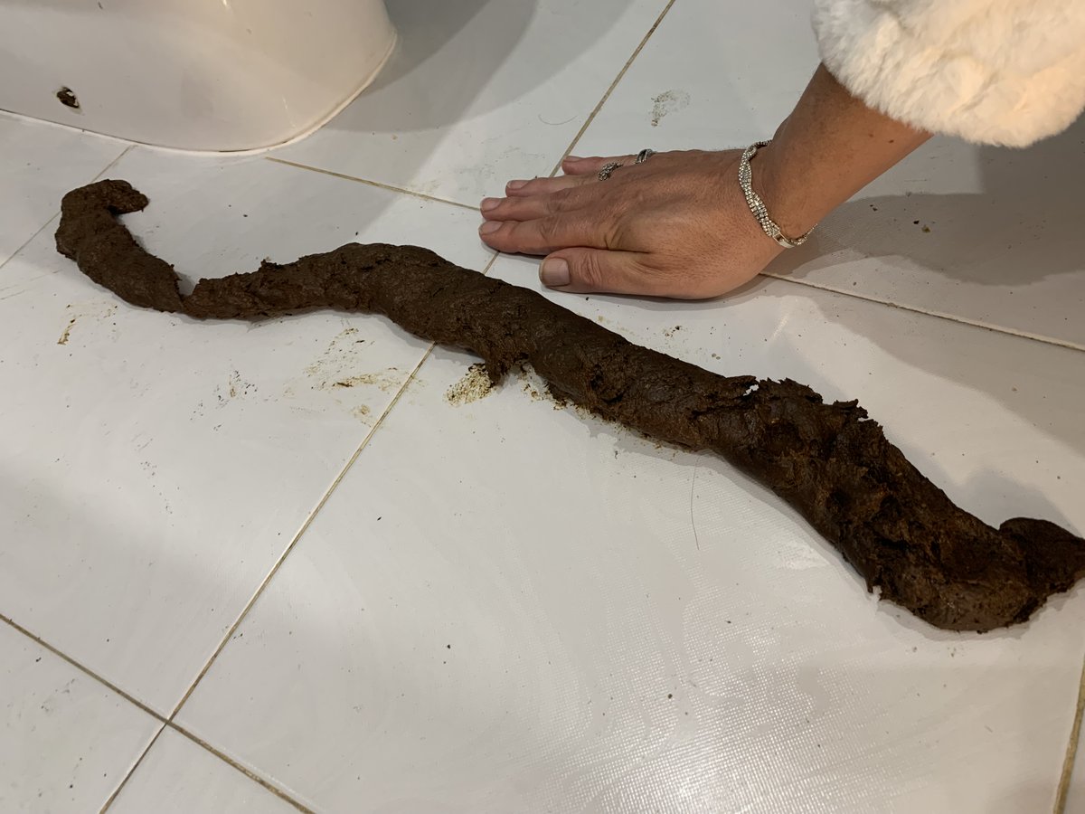 Natalia Mendes tweet media