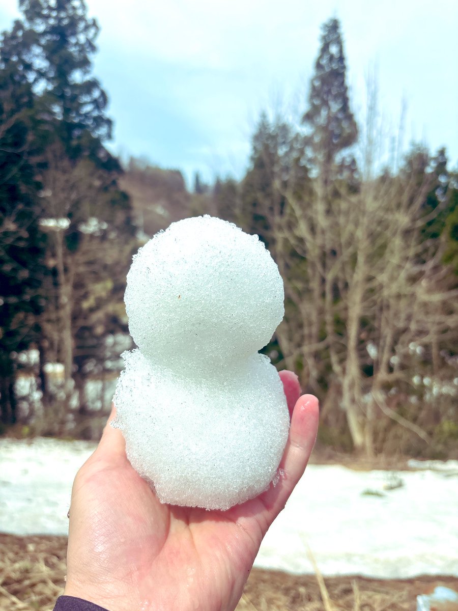 よいどれたくみん🐥 tweet media