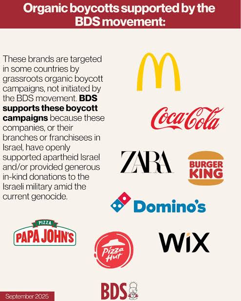 GraceSea 🍉🔻🐋 tweet media