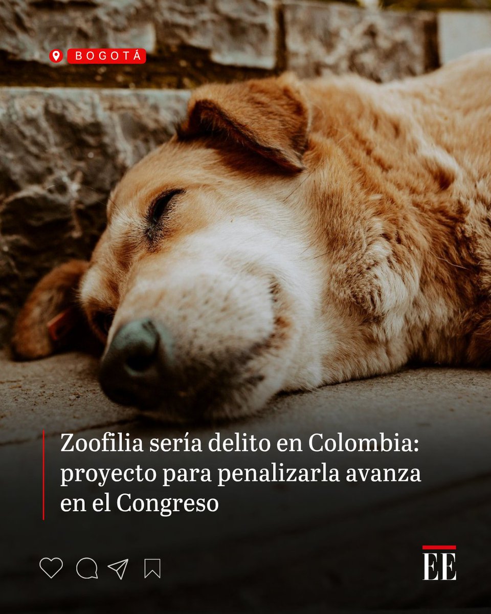 El Espectador tweet media