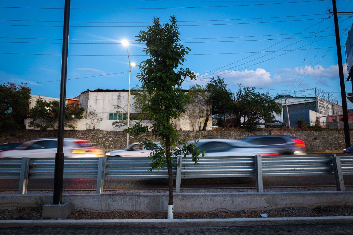 El Gobierno de Nuevo León tweet media