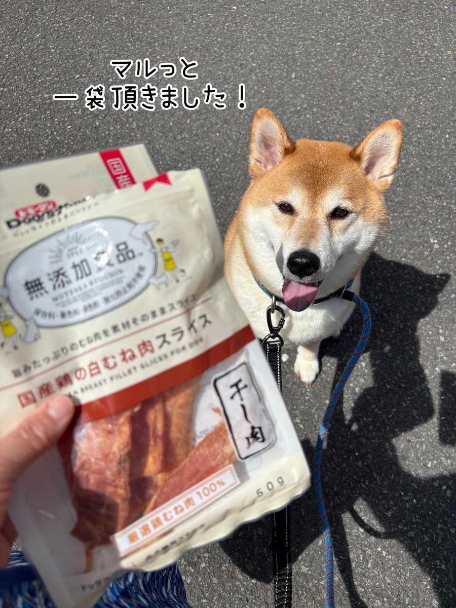 犬の下僕。🐕🐾 tweet media