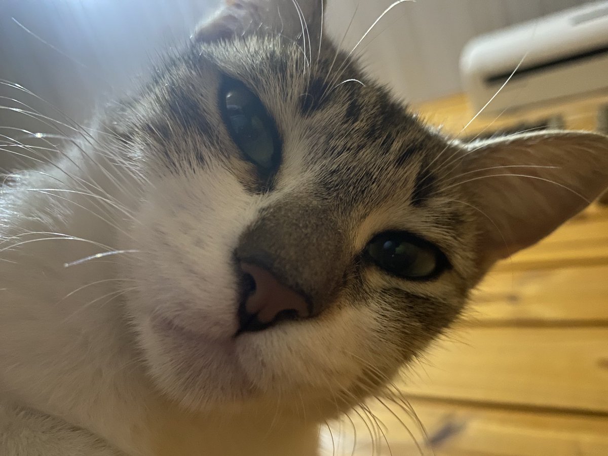 𝔖𝔢𝔫𝔥𝔬𝔯𝔞 𝔉𝔦𝔬𝔫𝔞 𝔈𝔫𝔠𝔞𝔫𝔱𝔞𝔡𝔬 tweet media