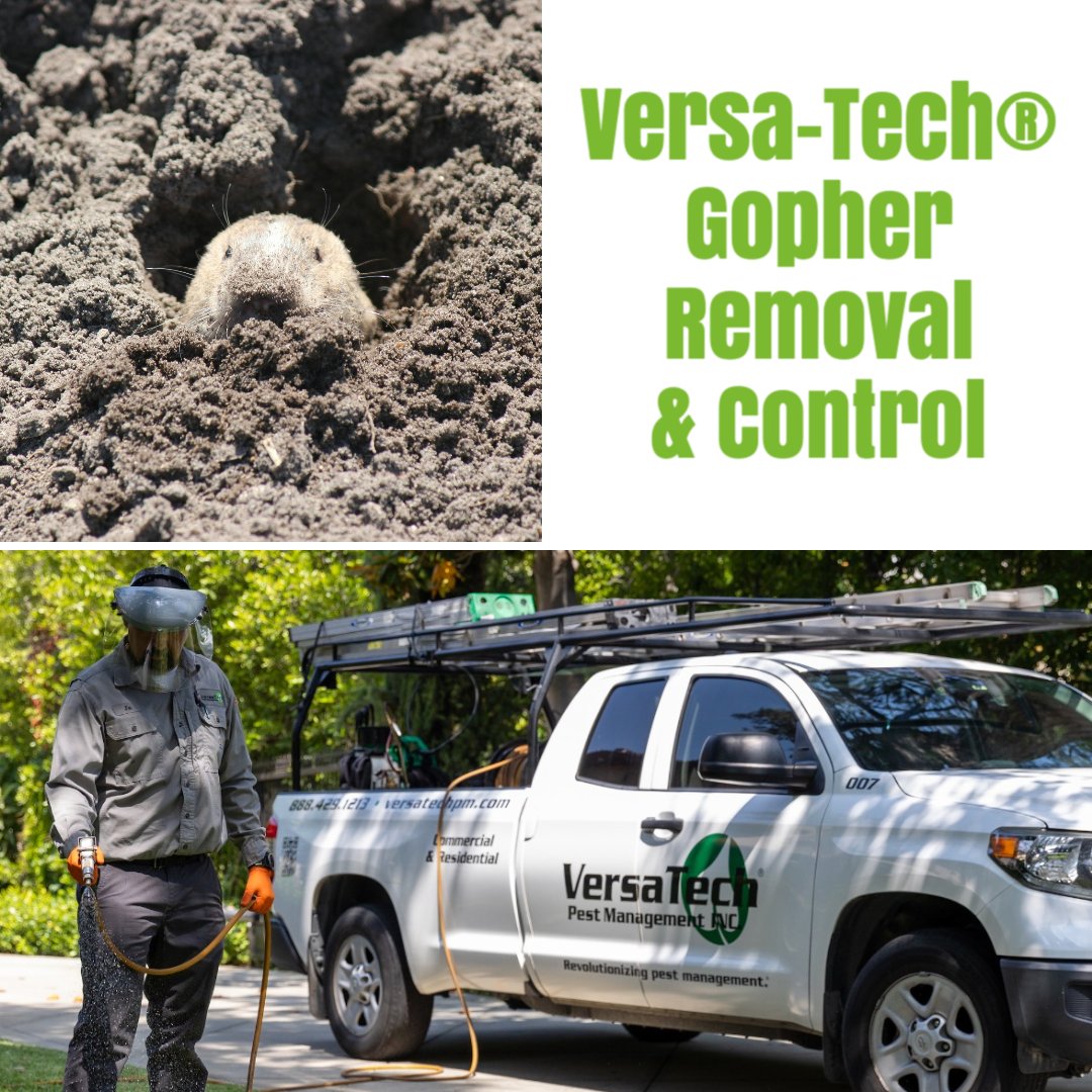 Versa-Tech Pest Management, Inc.® tweet media