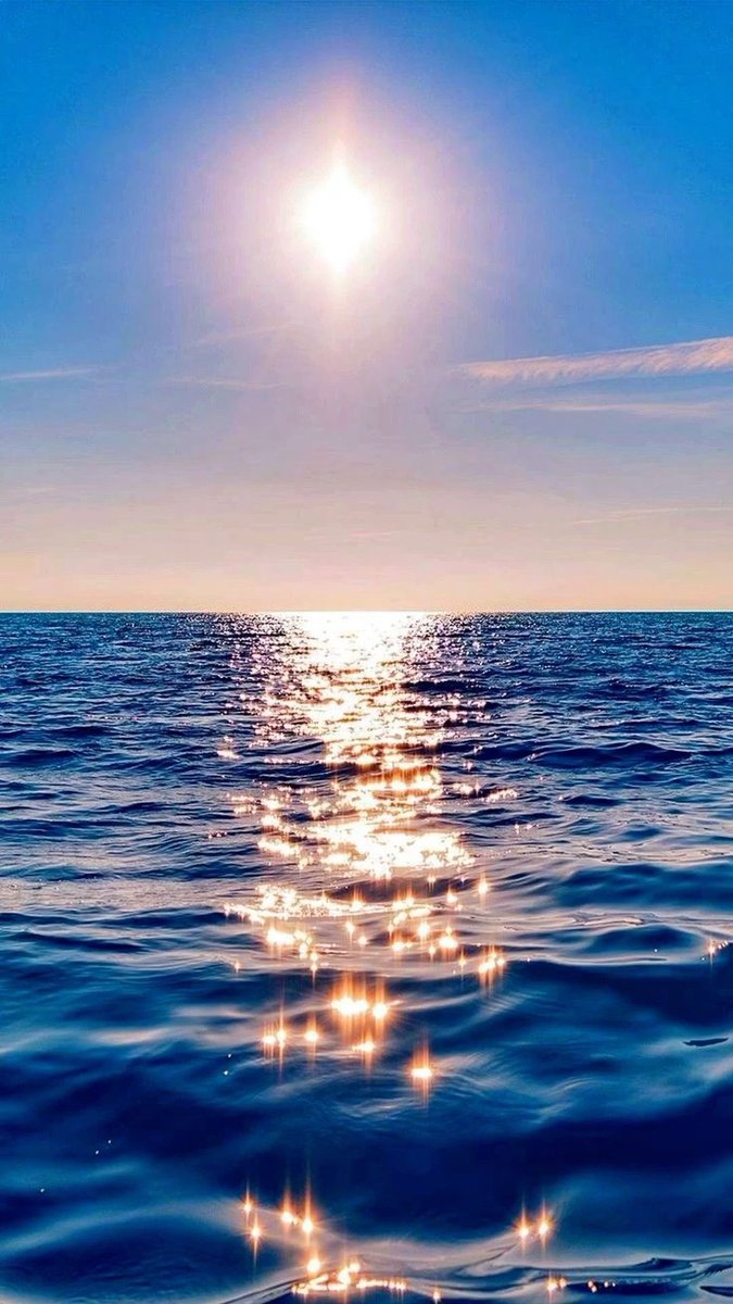 aestheticspost_'s tweet photo. https://t.co/Trw7a2DaBb