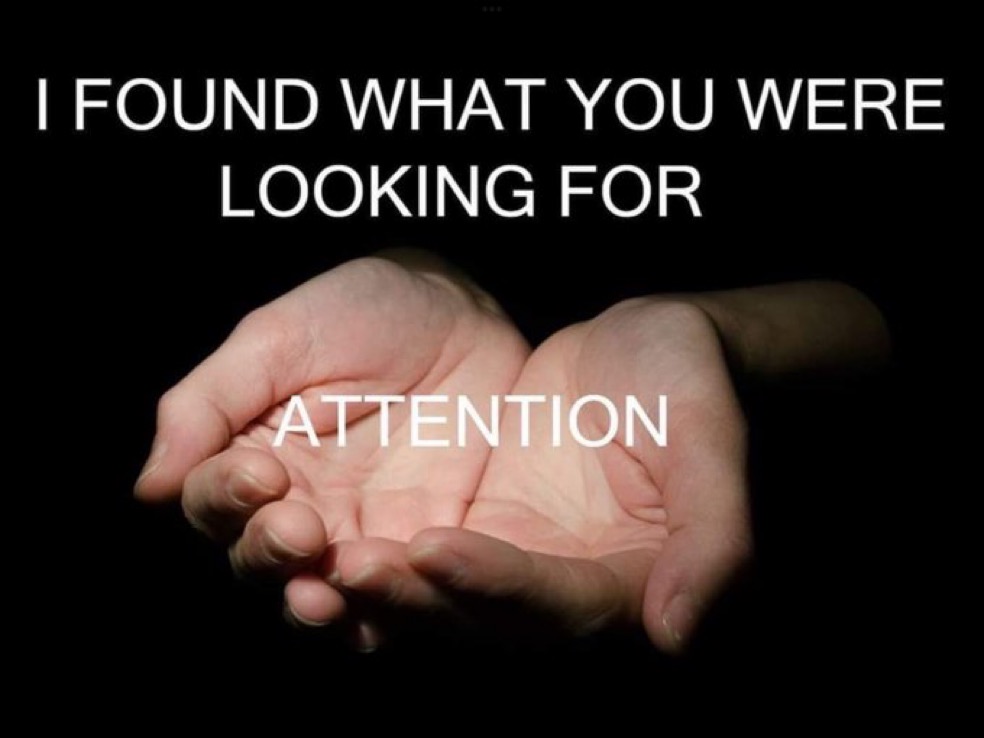 Silence Dogood 𝕏 🇺🇸 tweet media