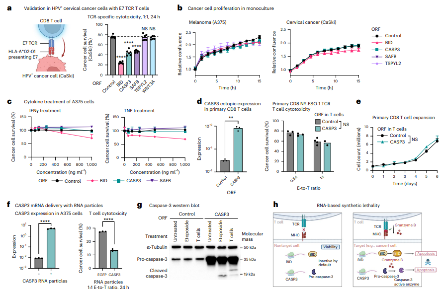Waggoner Lab tweet media