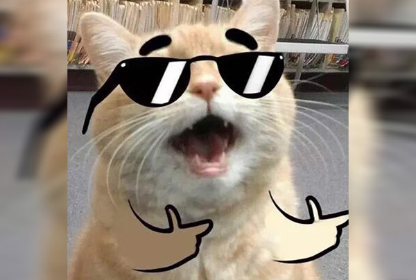 tapatiainefable tweet media