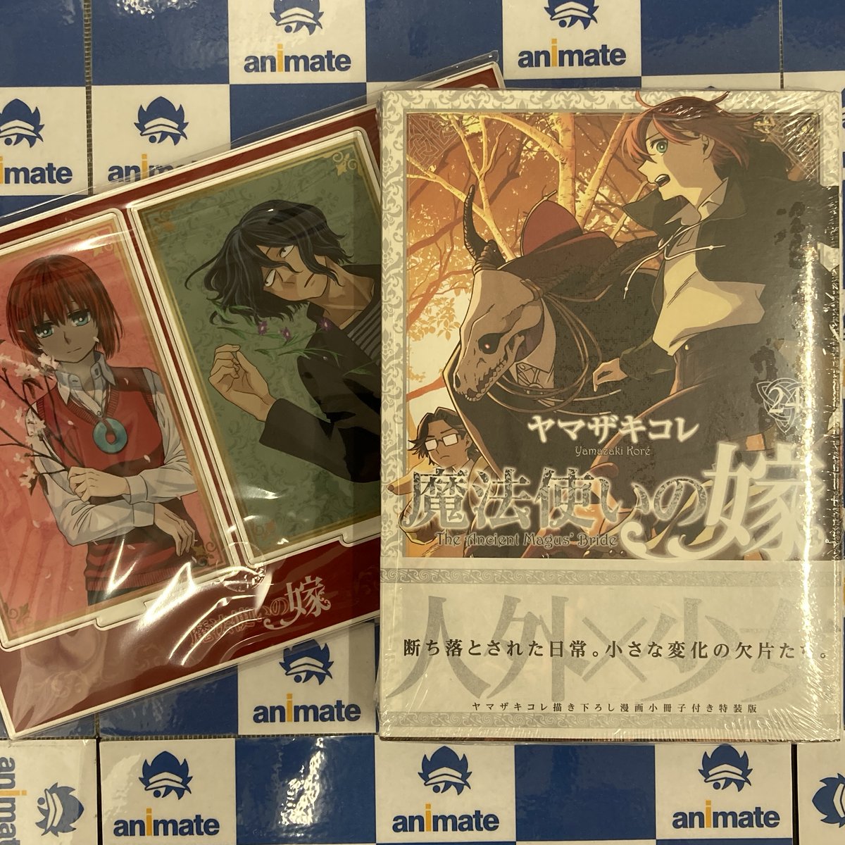 アニメイトイオンモール太田 tweet media