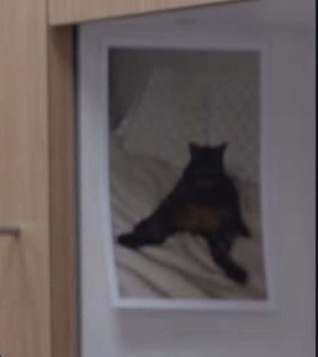 ptmcstudent's tweet photo. Whose cat is manspreading in the break room? https://t.co/HfI3aH6XIq