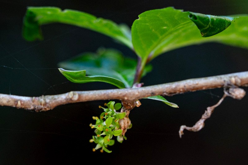 高尾ビジターセンター【公式】 tweet media